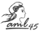 AML 45